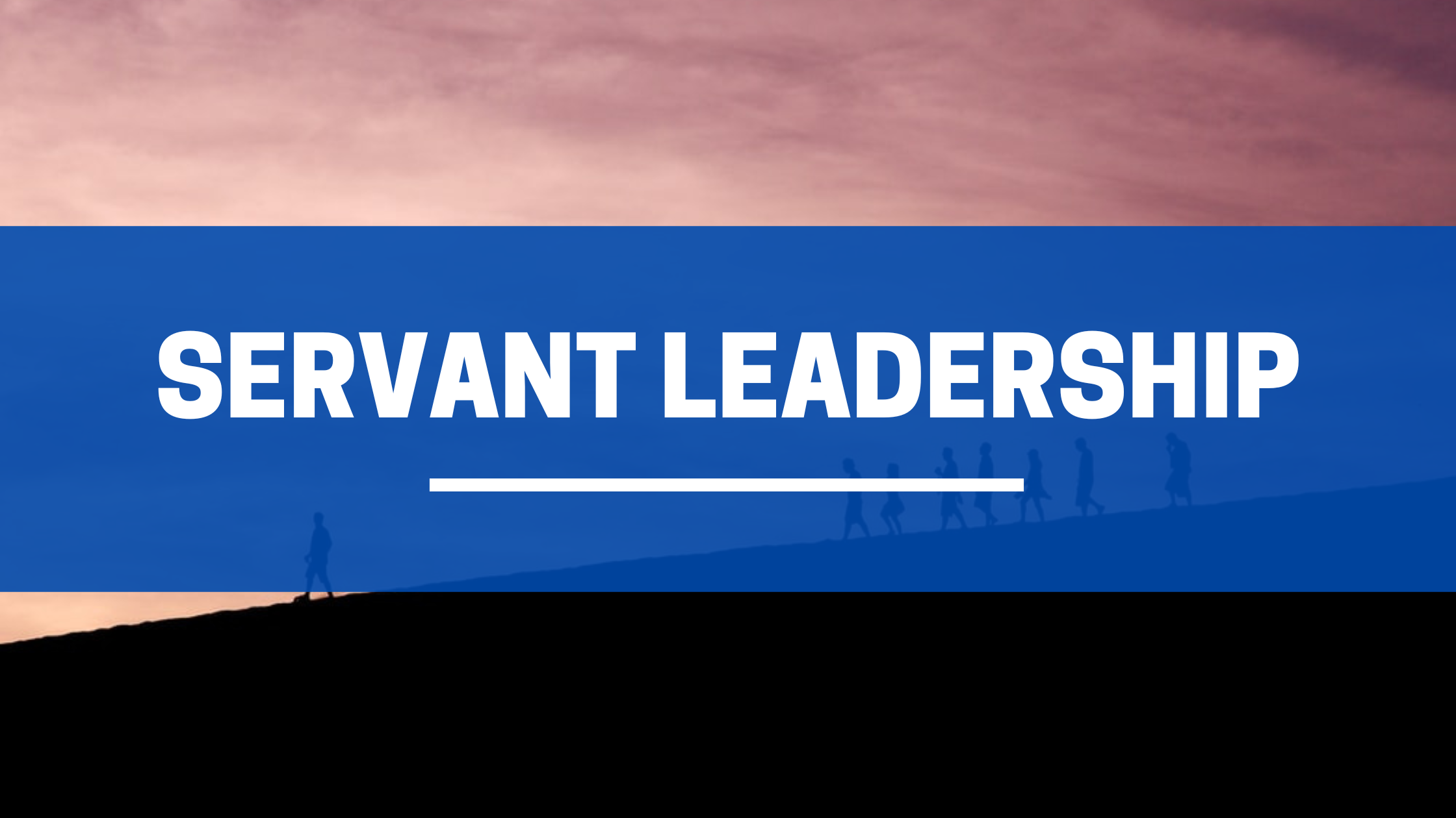 Read more about the article SERVANT LEADER